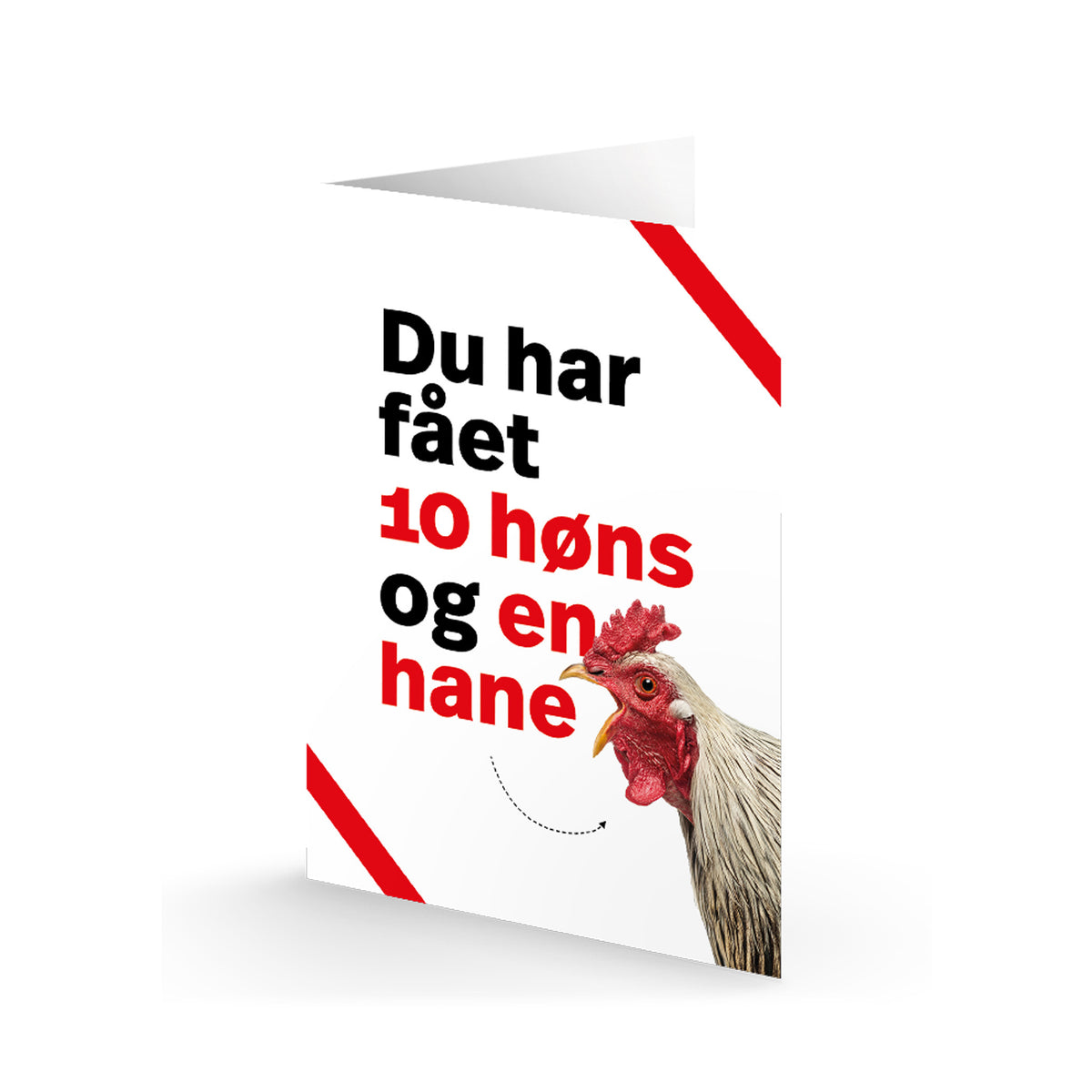 Giv 10 høns og en hane