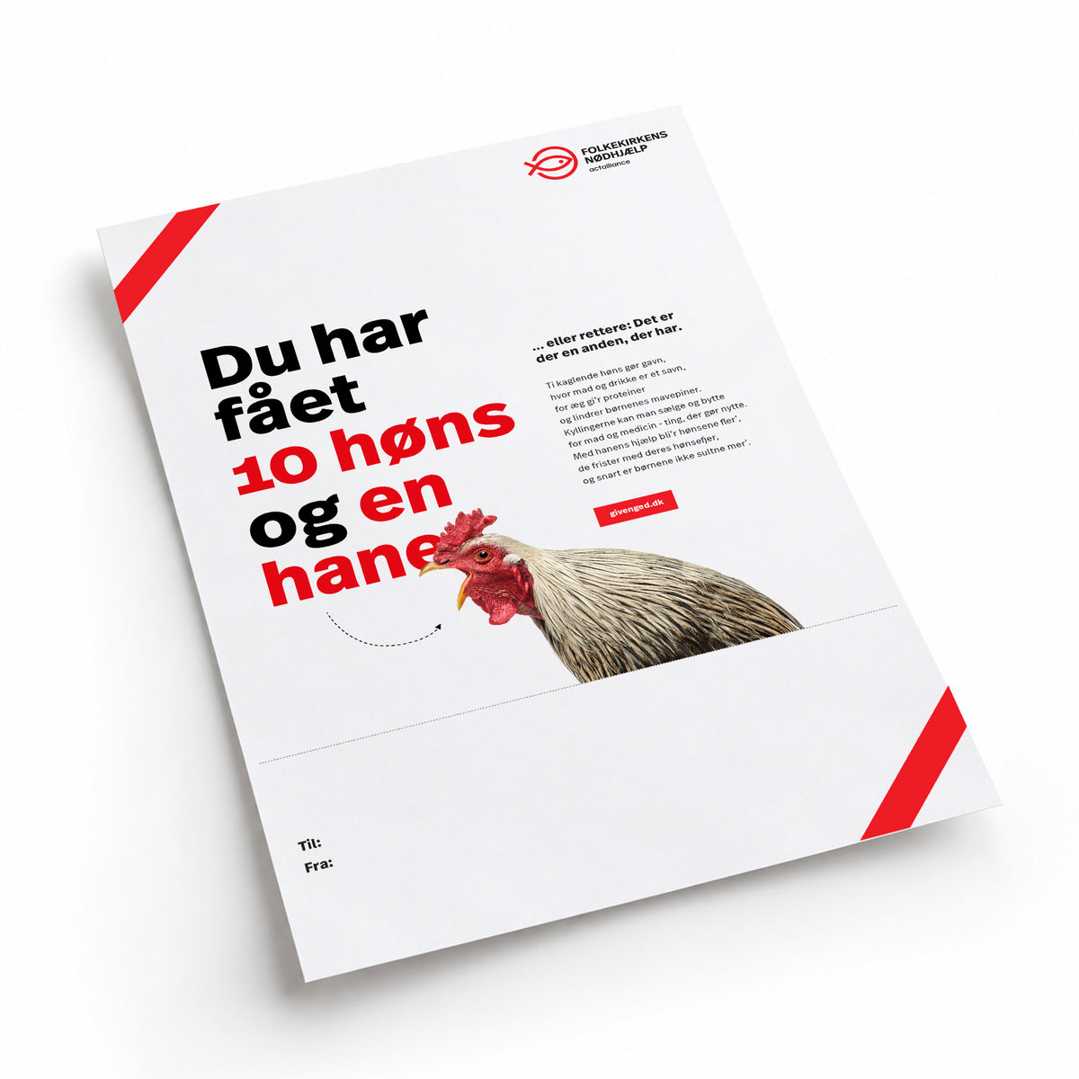 Giv 10 høns og en hane
