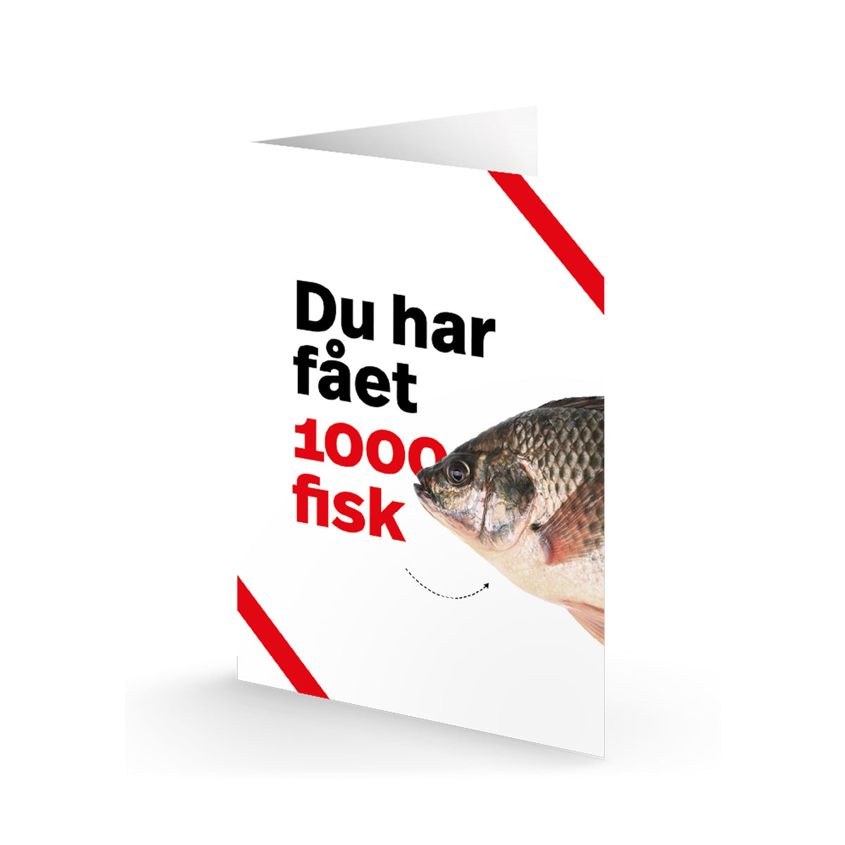 Giv 1000 Fisk